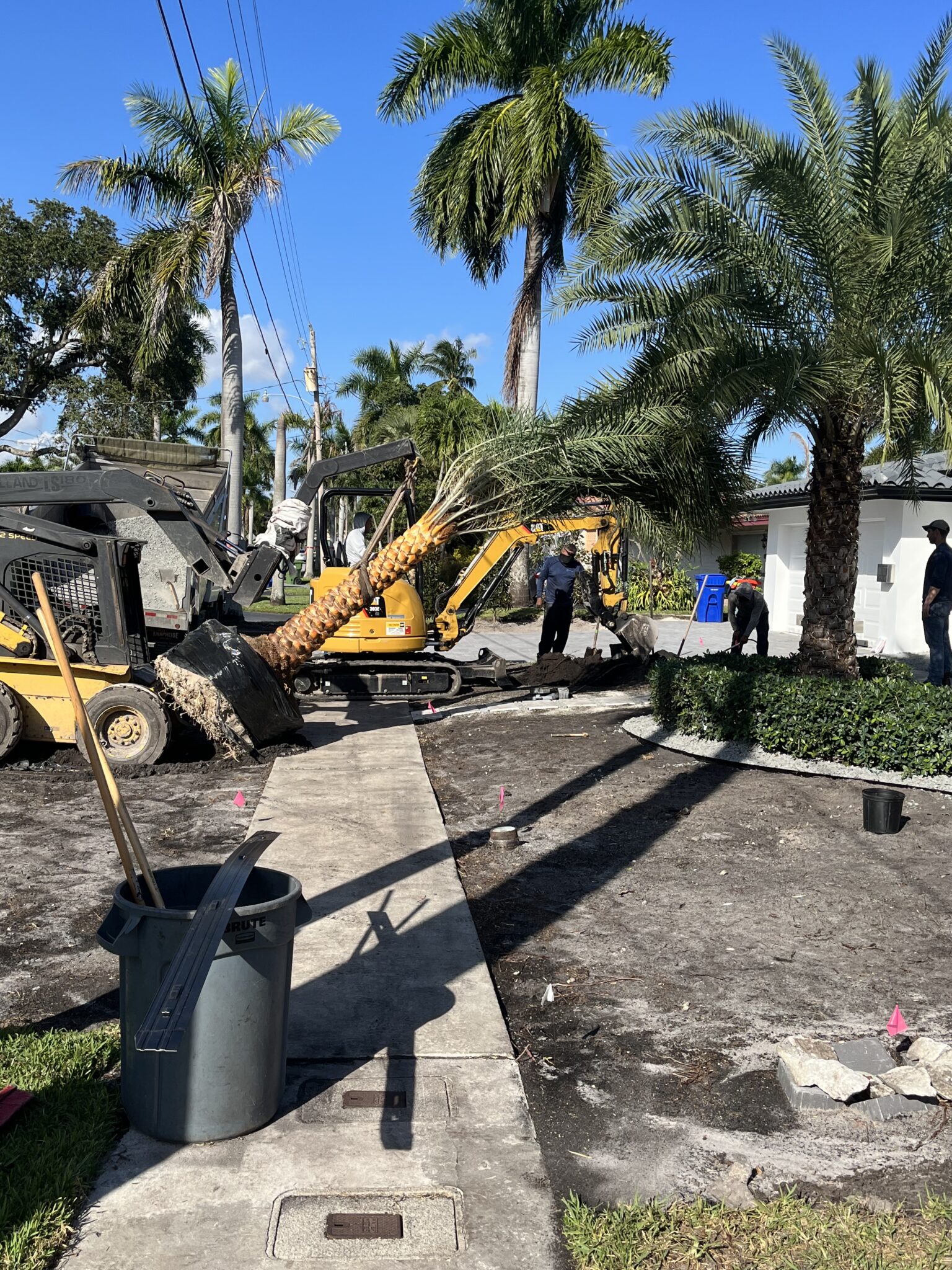 Tree Trimming in Delray Beach